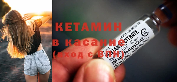 стаф Аркадак