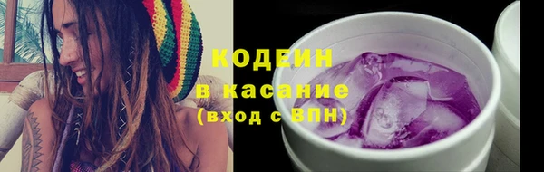 стаф Аркадак