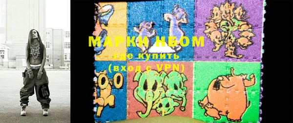 стаф Аркадак