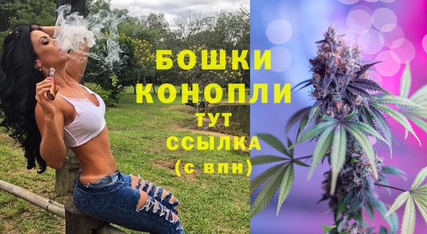 стаф Аркадак