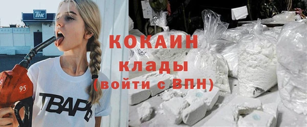 стаф Аркадак