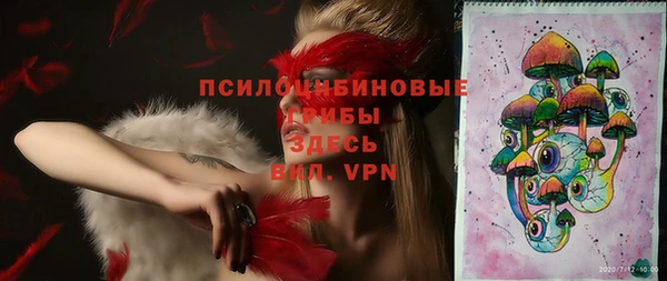 стаф Аркадак